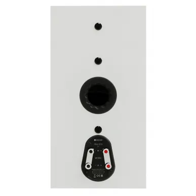Полочная акустика Monitor Audio Silver 100 Satin White (8G)
