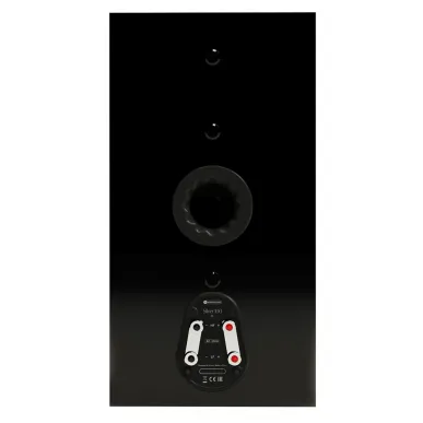 Полочная акустика Monitor Audio Silver 100 Black Gloss (8G)