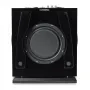 Сабвуфер REL Carbon Special Black Label
