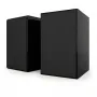 Полочная акустика Acoustic Energy AE1 40th Anniversary Edition High Gloss Black