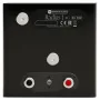 Полочная акустика Monitor Audio Radius 1 Black Gloss (4G)