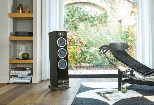 Обзор напольной акустики Focal Theva N2