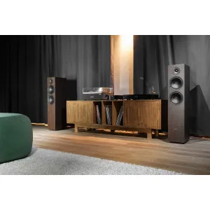 Обзор напольной акустики Phaze Audio Tilia 1