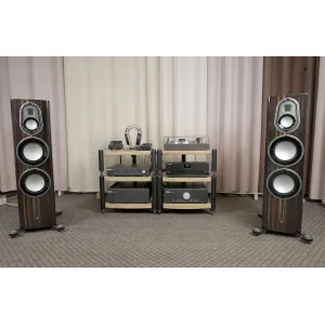 Обзор напольной акустики Monitor Audio Platinum 300 (3G)
