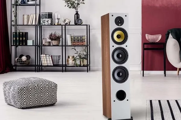 Davis Acoustics Ariane 9: обзор напольной акустики
