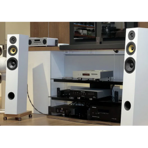 Davis Acoustics Courbet 7: обзор напольной акустики