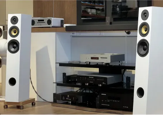 Davis Acoustics Courbet 7: обзор напольной акустики