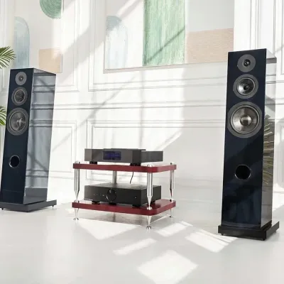 Davis Acoustics Courbet 8: обзор флагманской акустики