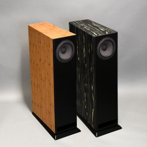 Davis Acoustics MV One Master: обзор акустики без кроссовера