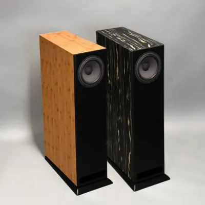 Davis Acoustics MV One Master: обзор акустики без кроссовера