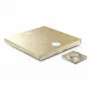 Стереоусилитель Devialet Astra OdP with gold finish
