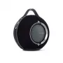 Беспроводная hi-fi акустика DEVIALET Mania Deep Black