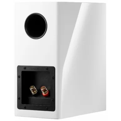 Полочная акустика Dynaudio Evoke 10 BLACK HIGH GLOSS