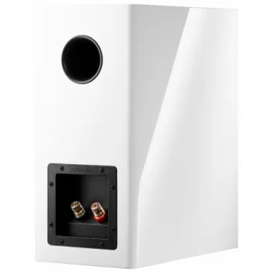 Полочная акустика Dynaudio Evoke 20 BLACK HIGH GLOSS