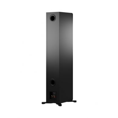Напольная акустика Dynaudio Emit 50 BLACK