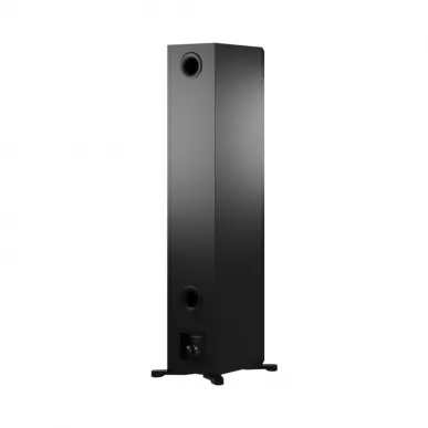 Напольная акустика Dynaudio Emit 50 BLACK