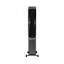 Напольная акустика Dynaudio Confidence 60 SMOKE HIGH GLOSS