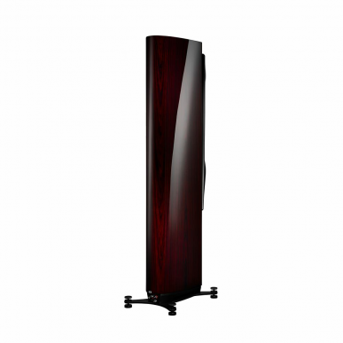 Напольная акустика Dynaudio Confidence 60 RUBY WOOD