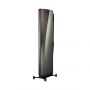 Напольная акустика Dynaudio Confidence 60 SMOKE HIGH GLOSS