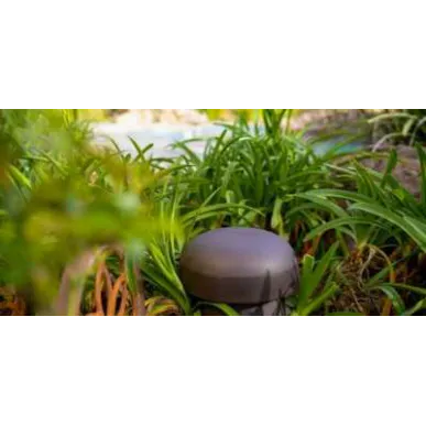 Ландшафтная акустика Sonance OMNI 6T