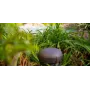 Ландшафтная акустика Sonance OMNI 6T
