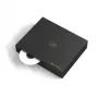 Стереоусилитель Shanling CA80 black