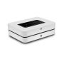 Медиаплеер Bluesound POWERNODE (N331), white