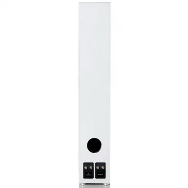 Напольная акустика Canton GLE 90 AR S2, white