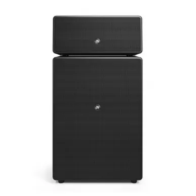 Беспроводная hi-fi акустика AUDIO PRO DRUMFIRE II W Black