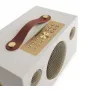 Беспроводная hi-fi акустика AUDIO PRO C5 MkII W Classic Dune