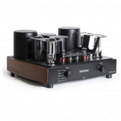 Ламповый усилитель Mastersound Evolution 845 черный