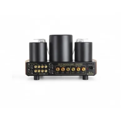 Ламповый усилитель Mastersound Evo 300B серый