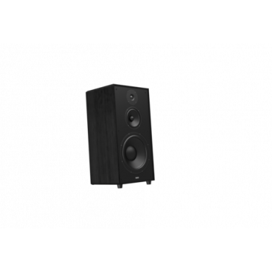 Напольная акустика Indiana Line Utah 5 black