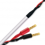 Акустический кабель Wireworld STS2.5MB-10 Stream 10 2.5m
