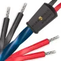 Акустический кабель Wireworld OAB2.0MB-10 Oasis 10 Biwire 2.0m