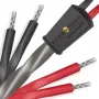 Акустический кабель Wireworld EQB2.5MB-10 Equinox 10 Biwire 2.5m