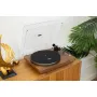 Виниловый проигрыватель Phaze Audio Diana MK2 Walnut