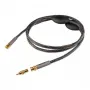 Коаксиальный кабель Ansuz Digitalz D-TC3 BNC 2m
