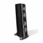 Напольная акустика Borresen C2 Black
