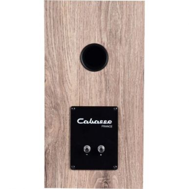 Полочная акустика Cabasse Minorca MC40 bleached oak