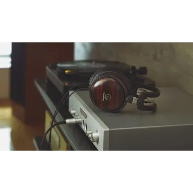 Наушники AUDIO-TECHNICA ATH-AWKT/F