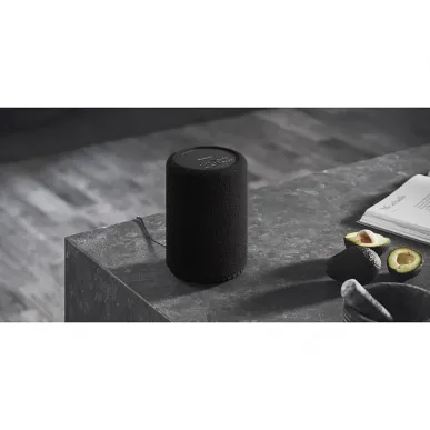 Беспроводная hi-fi акустика AUDIO PRO A10 MKII Black