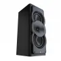 Полочная акустика Perlisten Audio A3m