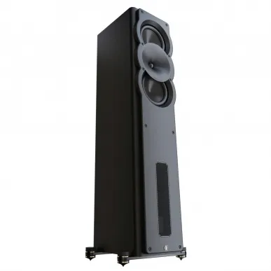 Напольная акустика Perlisten Audio A3t