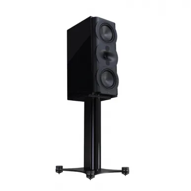 Полочная акустика Perlisten Audio R5m