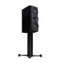 Полочная акустика Perlisten Audio R5m