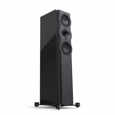 Напольная акустика Perlisten Audio R5t