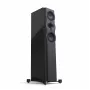 Напольная акустика Perlisten Audio R5t