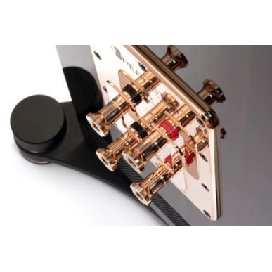 Напольная акустика Perlisten Audio S5t Black Cherry Natural