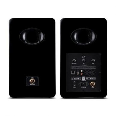 Активная полочная акустика Swan H6